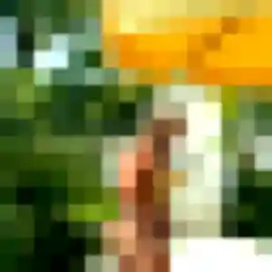 Photo sexy de Armelle, 23 ans à Loisin - plan discret