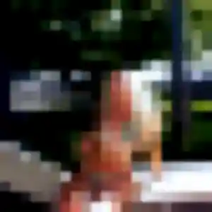 Photo perso de Anais, 21 ans à Longaulnay - plan discret