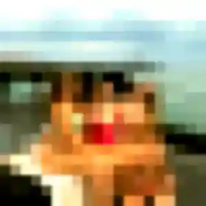 Amandine, 33 ans, connectée à Longpont-sur-Orge pour une rencontre coquine