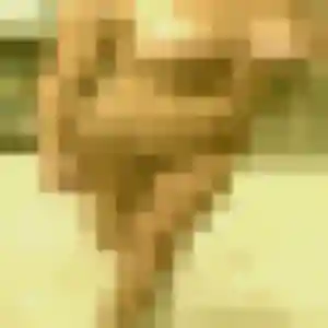 Photo de Assia à Longuenesse (20 ans) - plan cul anonyme