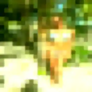 Louane, 24 ans, disponible à Louvigné-de-Bais pour un plan cul