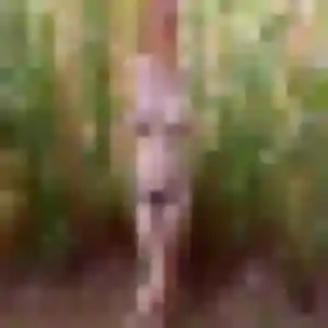 Laura de Louvigné-du-Désert, 23 ans - plan cul discret