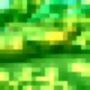 Contacte Fanny, 33 ans à Lucéram en t'inscrivant