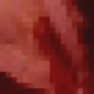 Photo perso de Elina, 24 ans à Luriecq - rencontre coquine