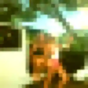 Photo de Armelle à Lusanger (24 ans) - plan cul gratuit