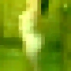 Roxane de Mably, 29 ans - plan cul discret