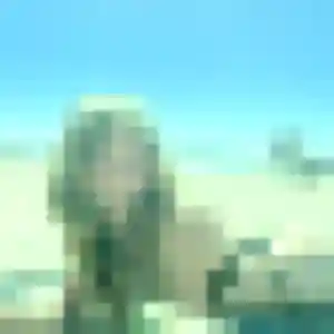 Photo exclusive de Elina, 21 ans à Macouria - plan discret