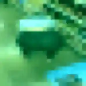 Photo de Jade à Mandelieu-la-Napoule (20 ans) - plan cul sans inscription