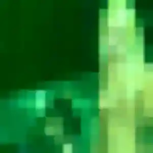 Découvre Inaya, 23 ans à Marcey-les-Grèves en t'inscrivant