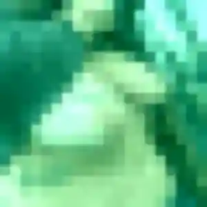 Profil de Mila à Marcey-les-Grèves (19 ans) - plan cul discret