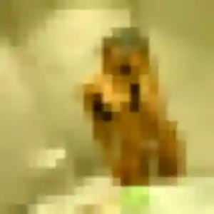 Photo sexy de Daphne, 34 ans à Marcilly-le-Châtel - rencontre sans lendemain