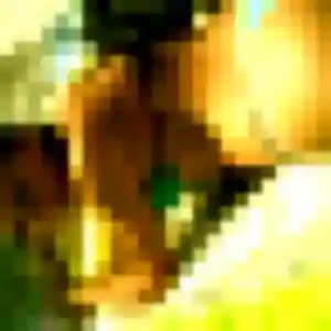 Alina, 25 ans, dispo pour plan cul à Marcq-en-Barœul