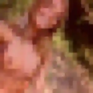 Photo privée de Louna, 28 ans à Mareil-sur-Loir - rencontre sans lendemain