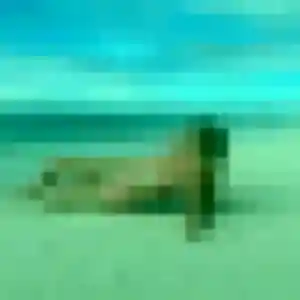 Photo de Eva à Mariol (20 ans) - plan cul sans inscription