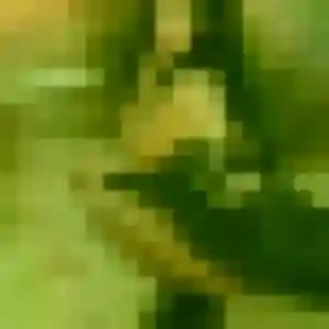 Jolie Flore, 34 ans à Marolles-en-Hurepoix - la contacter