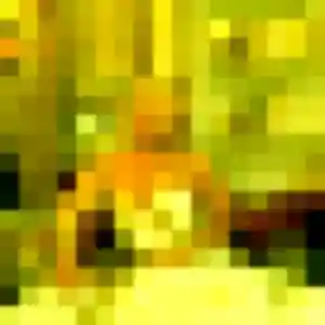 Laura de Marpiré, 25 ans - plan cul sans lendemain