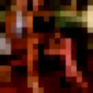 Sasha, 31 ans, disponible à Marquette-en-Ostrevant pour un plan cul