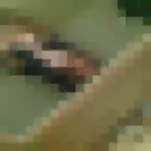 Lisa, 25 ans, cherche un plan cul à Martainville-Épreville