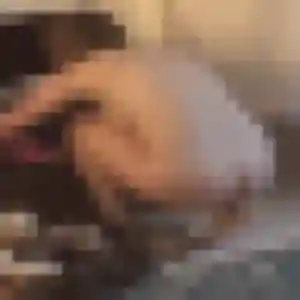Photo privée de Melanie, 23 ans à Maulévrier-Sainte-Gertrude - rencontre sans lendemain