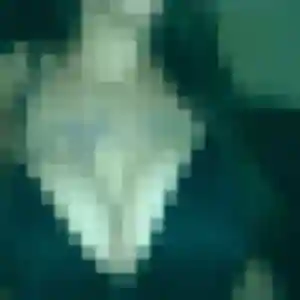 Photo de Eva à Maussane-les-Alpilles (34 ans) - plan cul anonyme