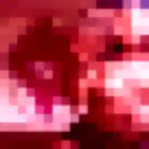Photo de Ninon à Melle (30 ans) - plan cul gratuit