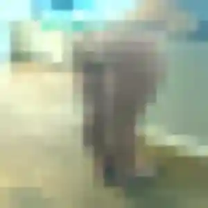 Photo privée de Leila, 24 ans à Mensignac - rencontre coquine