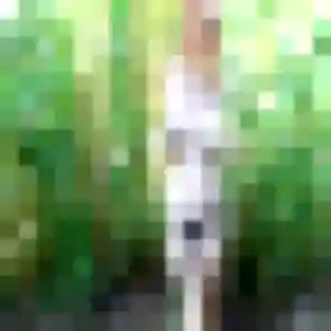 Découvre Laura, 35 ans à Menton gratuitement