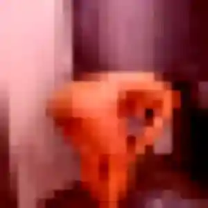 Photo de Apolline à Mésanger (26 ans) - plan cul gratuit