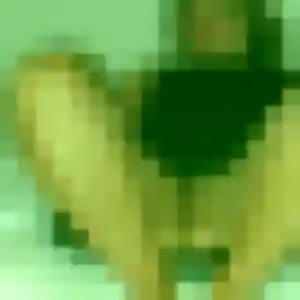 Photo de Luna à Mésanger (29 ans) - plan cul discret