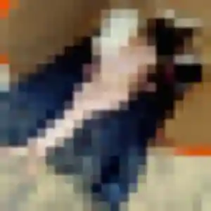 Photo de Manon à Méziré (32 ans) - plan cul gratuit