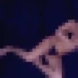 Photo sexy de Clemence, 24 ans à Mignières - rencontre sans lendemain