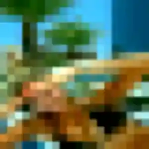 Rejoins Violette, 28 ans à Miniac-sous-Bécherel en t'inscrivant