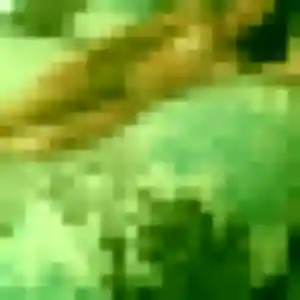 Photo de Giulia à Miraumont (25 ans) - plan cul sans inscription