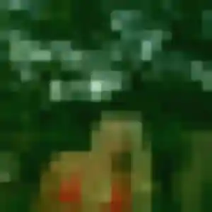 Photo de Emilie à Mont-Saxonnex (19 ans) - plan cul anonyme