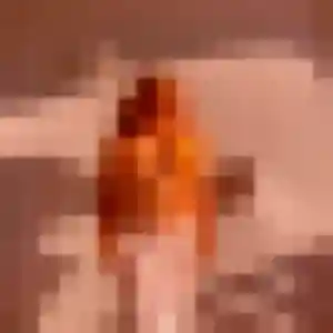 Morgane, 31 ans, disponible à Montagny pour une rencontre coquine