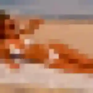 Photo sexy de Nour, 19 ans à Montbeton - rencontre sans lendemain