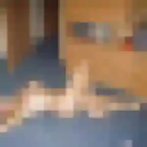 Photo exclusive de Leila, 24 ans à Montboucher-sur-Jabron - rencontre sans lendemain