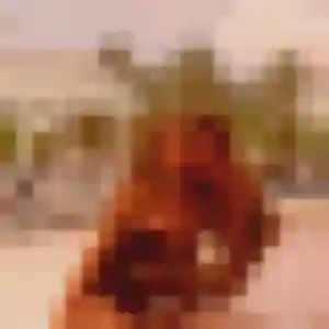 Luna, 20 ans, connectée à Montceau-les-Mines pour un plan cul