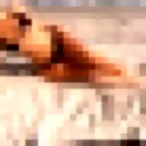 Rania de Montfort-sur-Meu, 32 ans - plan cul discret