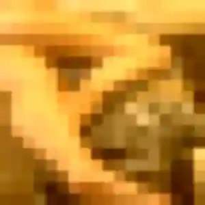 Photo exclusive de Zoe, 26 ans à Montpont-en-Bresse - rencontre coquine