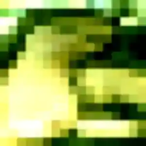 Belle Selma, 31 ans à Montrevault-sur-Èvre - découvrir son profil