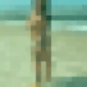 Cassandre, 28 ans, dispo pour plan cul à Moras-en-Valloire
