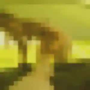 Elina (19 ans) à Morlanne cherche une rencontre ce soir
