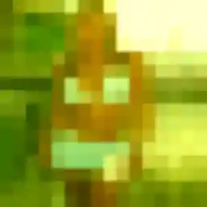 Découvre Amandine, 21 ans à Mortagne-sur-Gironde en privé