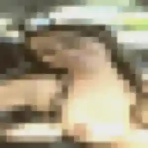 Romane de Mortagne-sur-Gironde, 34 ans - plan cul sans lendemain