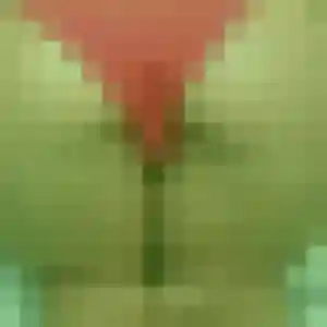 Photo de Anissa à Morthomiers (23 ans) - plan cul anonyme