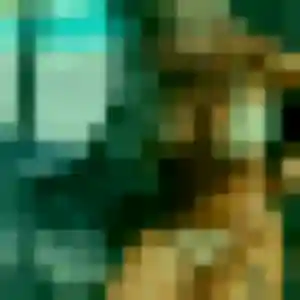 Armelle, 24 ans, disponible à Moulins-sur-Tardoire pour une rencontre coquine