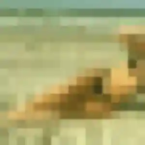 Photo privée de Marine, 22 ans à Muids - rencontre sans lendemain
