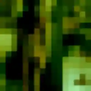 Charlene de Négreville, 31 ans - plan cul sans lendemain