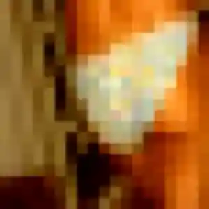 Lina de Négreville, 33 ans - plan cul discret